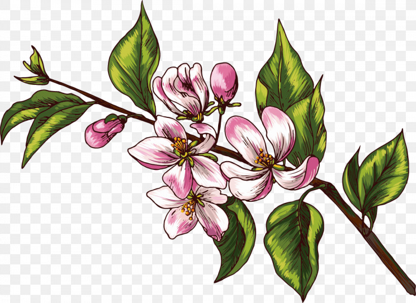 Flower Plant Pink Branch Petal, PNG, 1148x835px, Drawing Flower, Blossom, Branch, Bud, Floral Drawing Download Free