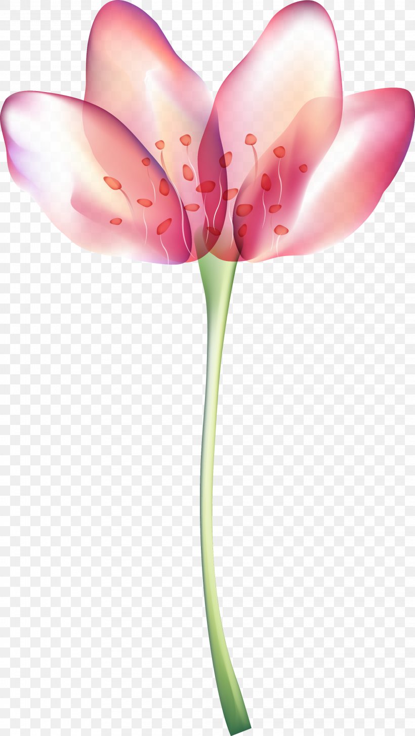 Flower, PNG, 2076x3686px, Flower, Blossom, Coreldraw, Cut Flowers, Flora Download Free