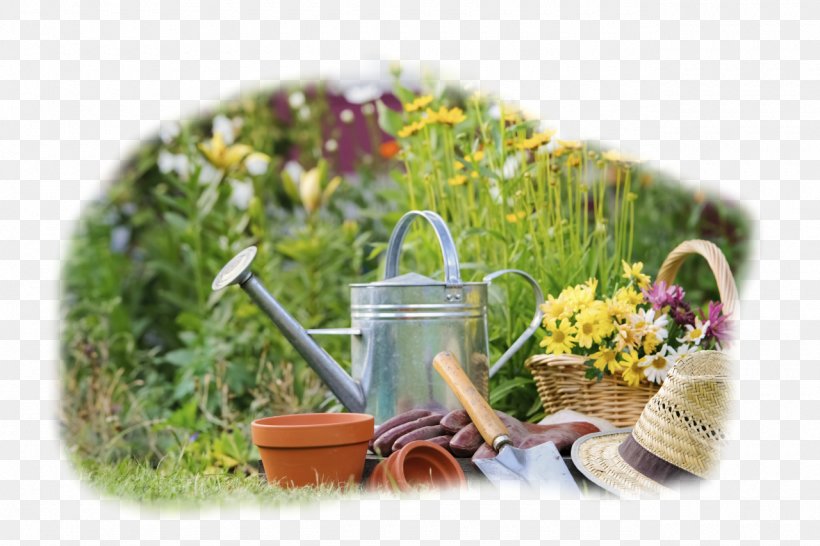 Gardening Horticulture Lawn Gardener, PNG, 1280x853px, Garden, Annual Plant, Bedding, Community Gardening, Cutting Download Free