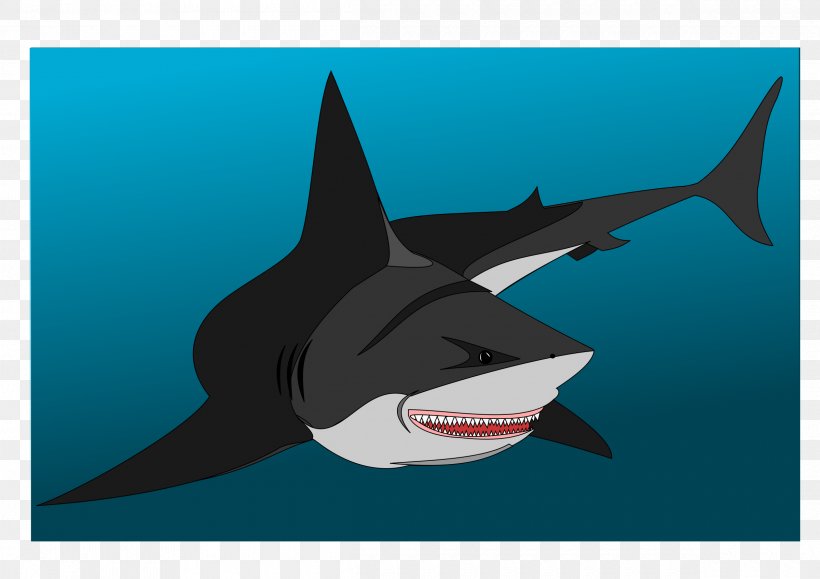 Great White Shark Fish Drawing Chondrichthyes Lamniformes, PNG, 2400x1697px, Great White Shark, Acanthodii, Cartilaginous Fish, Chondrichthyes, Drawing Download Free