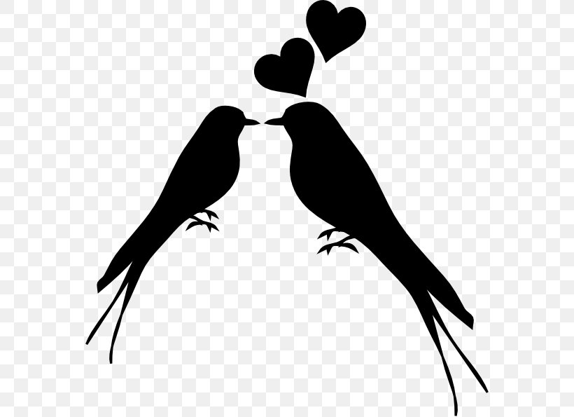 Lovebird Clip Art, PNG, 576x595px, Lovebird, Beak, Bird, Black And White, Blog Download Free