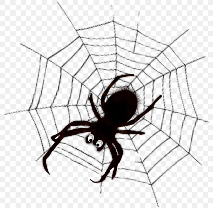 Spider Web Western Black Widow Insect Spider-Man, PNG, 794x800px, Spider Web, Arachnid, Area, Arthropod, Artwork Download Free