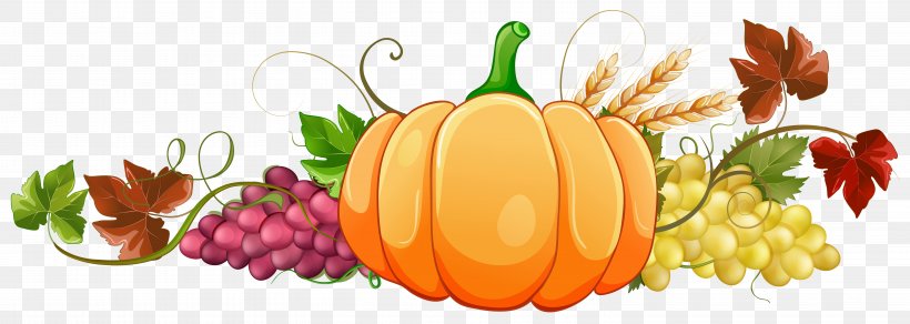 Squash Soup Autumn Pumpkin Clip Art, PNG, 6011x2145px, Squash Soup, Autumn, Autumn Leaf Color, Calabaza, Cucurbita Download Free