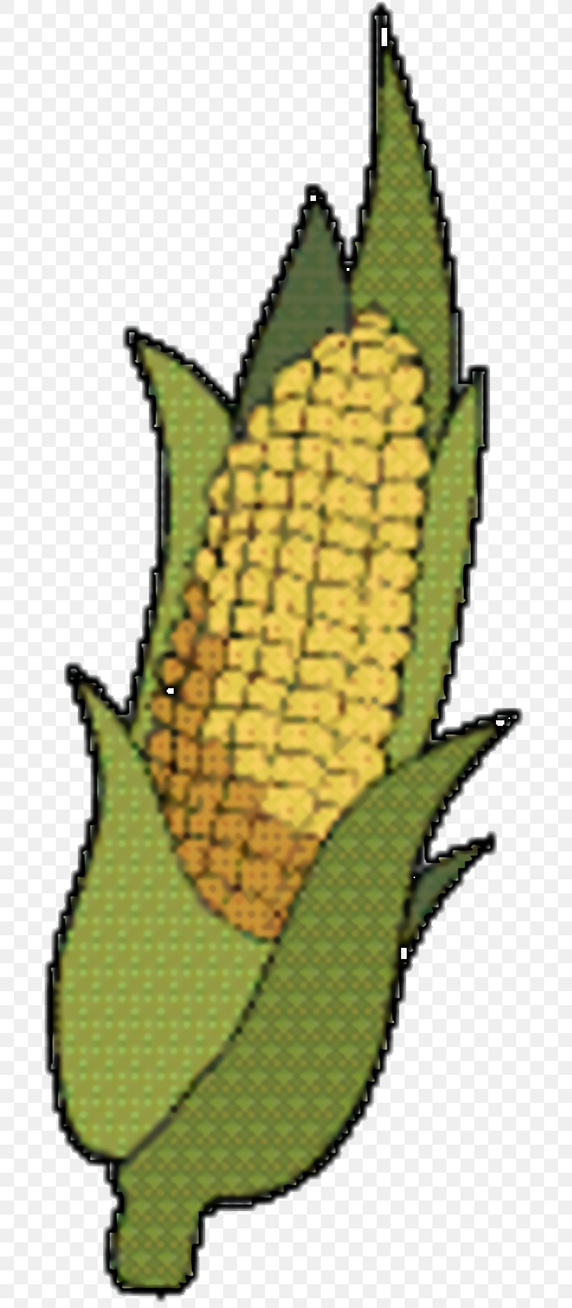 Corn Cartoon, PNG, 718x1874px, Commodity, Cartoon, Corn, Fruit, Leaf Download Free
