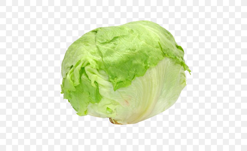 Juice Red Cabbage Leaf Vegetable, PNG, 500x500px, Juice, Apple, Cabbage, Carrot, Chinese Cabbage Download Free
