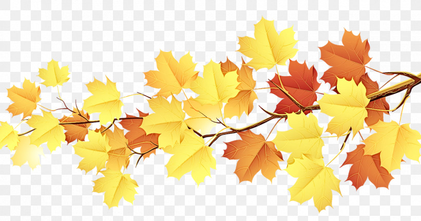Maple Leaf, PNG, 1200x630px, Leaf, Autumn, Autumn Leaf Color, Branch, Maple Download Free