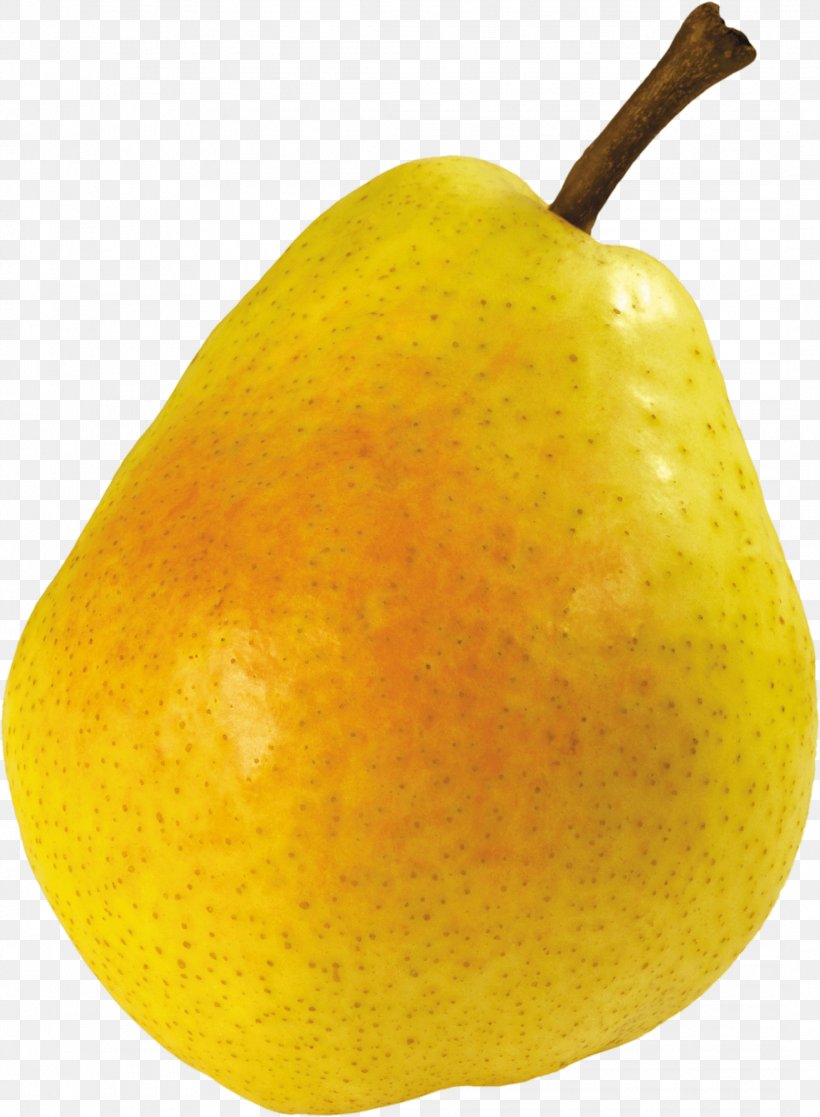 Pear Fruit Clip Art, PNG, 2135x2909px, Asian Pear, Amygdaloideae, Apple, Citron, Citrus Download Free