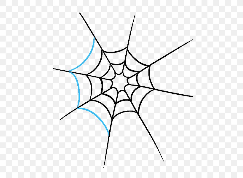 Spider Web Drawing Art Sketch, PNG, 678x600px, Spider, Arachnid, Area, Art, Art Museum Download Free
