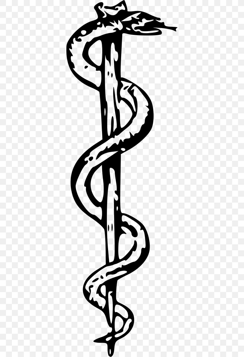 Staff Of Hermes Rod Of Asclepius Greek Mythology, PNG, 374x1198px, Hermes, Apollo, Area, Art, Artwork Download Free