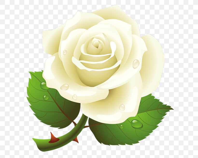 Rose Clip Art, PNG, 650x652px, Rose, Cut Flowers, Floral Design, Floristry, Flower Download Free
