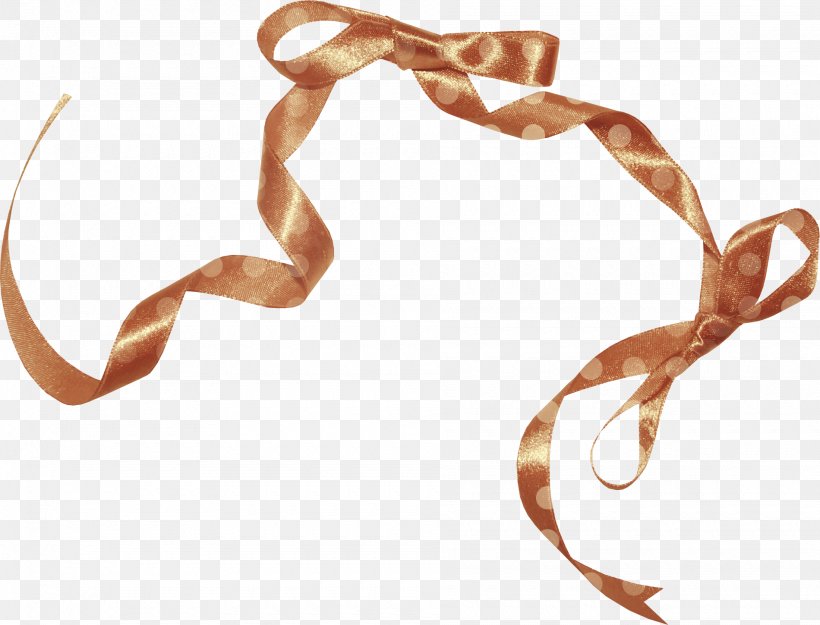 Brown Ribbon Silk Shoelace Knot, PNG, 1900x1449px, Ribbon, Brown Ribbon, Fashion Accessory, Gift, Google Images Download Free