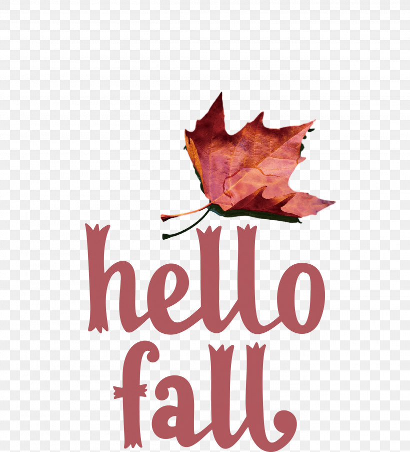 Hello Fall Fall Autumn, PNG, 2722x3000px, Hello Fall, Autumn, Biology, Fall, Leaf Download Free