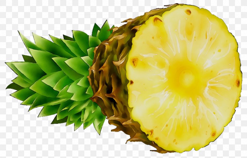 Pineapple Miscarriage Unintended Pregnancy Abortion, PNG, 1726x1106px, Pineapple, Abortion, Ananas, Bromeliaceae, Flowering Plant Download Free
