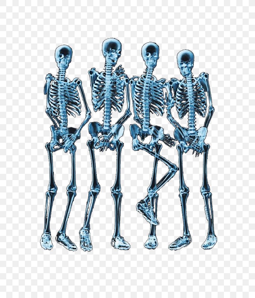 Printed T-shirt X-ray Skeleton Bone, PNG, 640x960px, Tshirt, Anatomy, Bone, Designer, Homo Sapiens Download Free