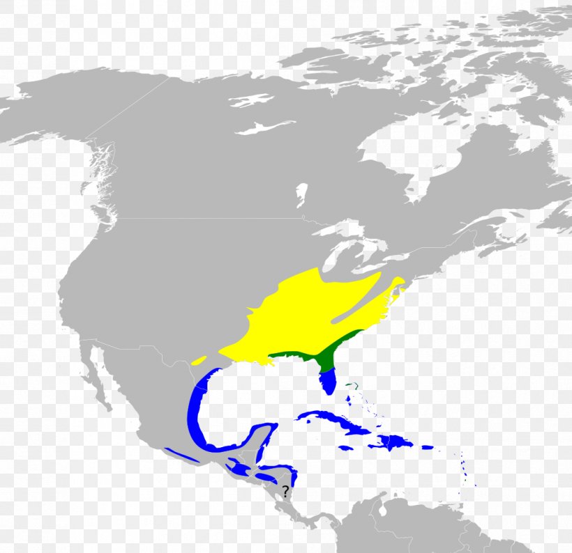 United States World Map, PNG, 1057x1024px, United States, Americas, Area, Beak, Bird Download Free
