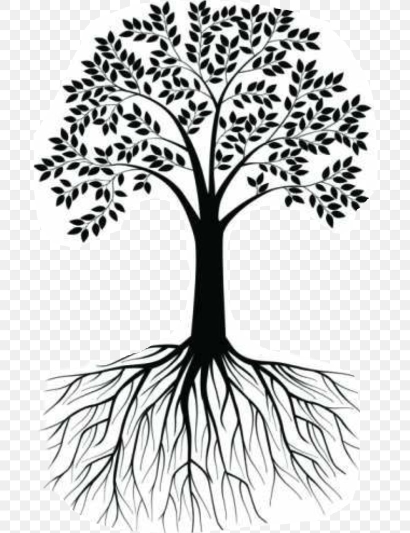 Wall Decal Root Tree Clip Art Illustration, PNG, 690x1065px, Wall Decal, Black, Blackandwhite, Botany, Branch Download Free