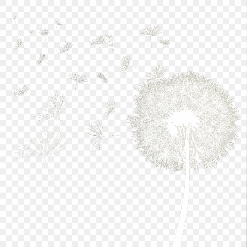 White Black Pattern, PNG, 1238x1240px, White, Black, Black And White, Monochrome, Monochrome Photography Download Free