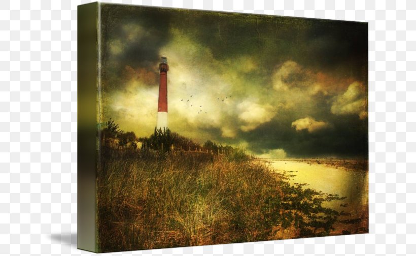 Barnegat Lighthouse State Park Painting Picture Frames Gallery Wrap, PNG, 650x504px, Painting, Art, Canvas, Gallery Wrap, Grass Download Free