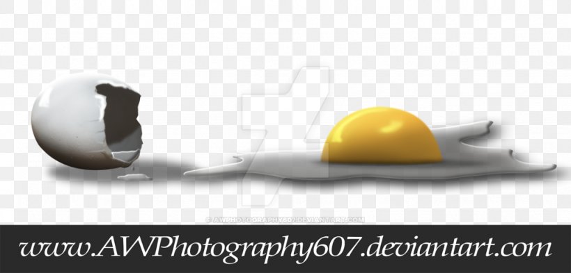 Brand Product Design, PNG, 1024x491px, Brand Download Free