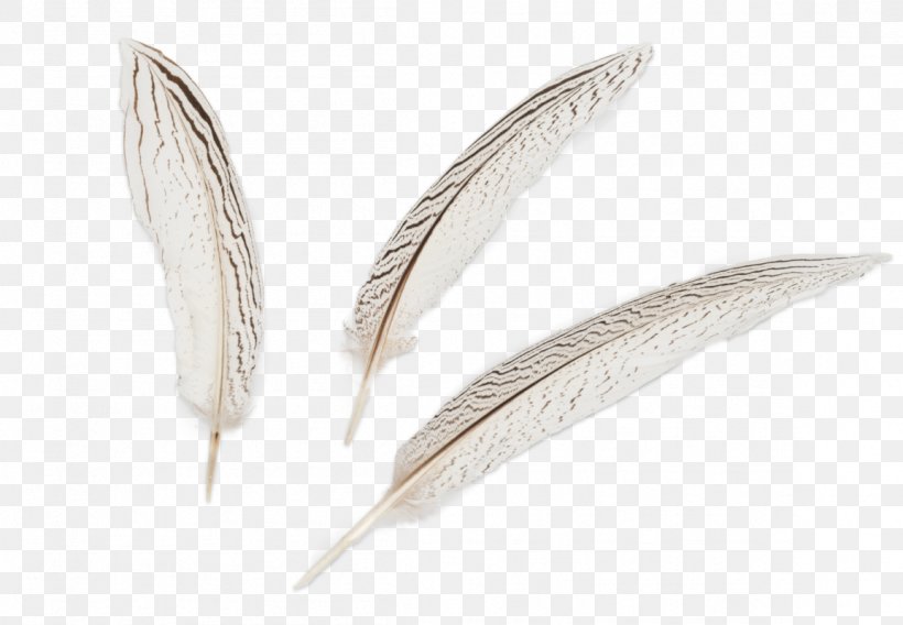 Feather, PNG, 1154x800px, Feather, Quill, Wing Download Free