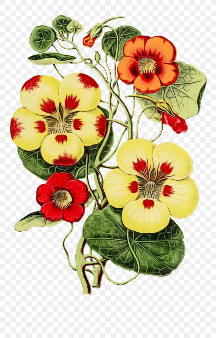 Flower Hawaiian Hibiscus Plant Pansy Wild Pansy, PNG, 758x1280px, Watercolor, Flower, Hawaiian Hibiscus, Paint, Pansy Download Free