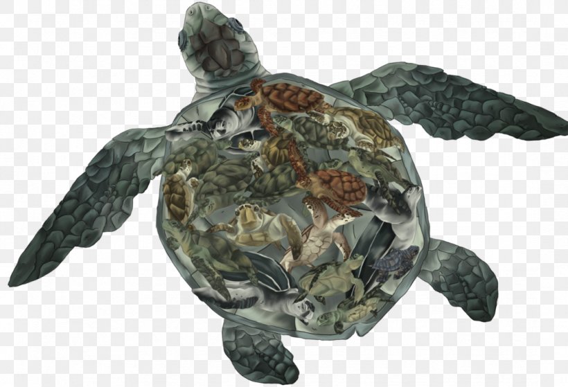 Loggerhead Sea Turtle Leatherback Sea Turtle Box Turtles Tortoise, PNG, 1081x738px, Turtle, Box Turtle, Box Turtles, Chinese Softshell Turtle, Death Download Free