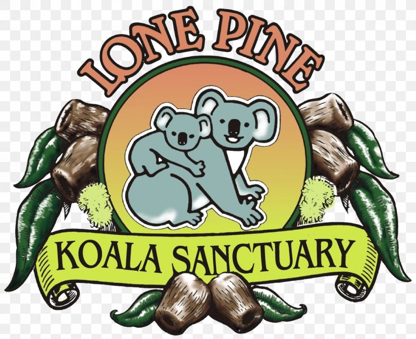 Lone Pine Koala Sanctuary Brisbane River Platypus Animal Sanctuary, PNG, 1419x1160px, Lone Pine Koala Sanctuary, Amphibian, Animal, Animal Sanctuary, Australia Download Free