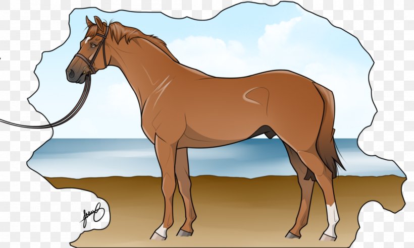 Mustang Foal Mare Mane Pony, PNG, 1153x692px, Mustang, Animal Figure, Art, Bridle, Cartoon Download Free