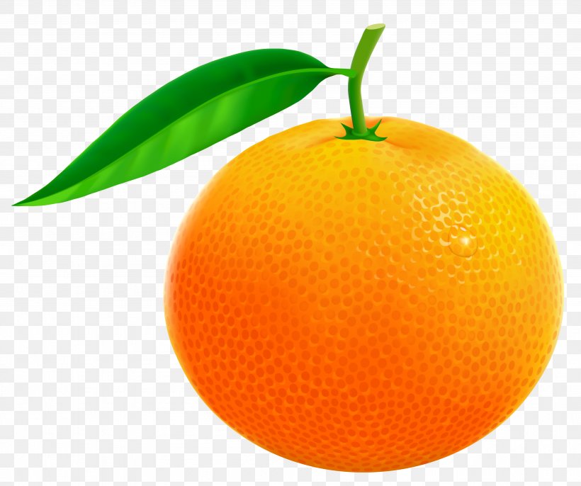Orange Grapefruit Pomelo Clip Art, PNG, 3795x3179px, Orange, Bitter Orange, Blog, Citric Acid, Citrus Download Free