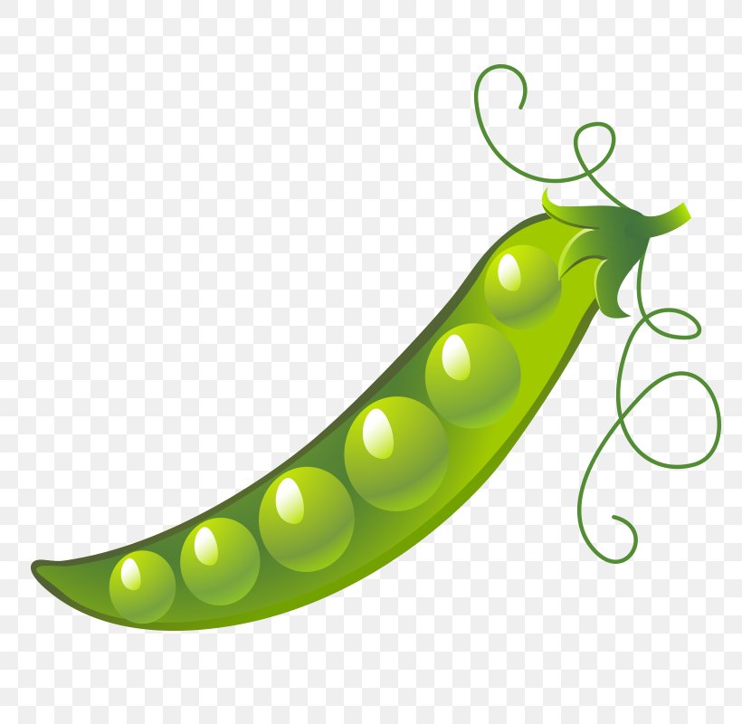 Snow Pea Green Bean Vegetable Image, PNG, 800x800px, Snow Pea, Bean, Cartoon, Common Bean, Food Download Free