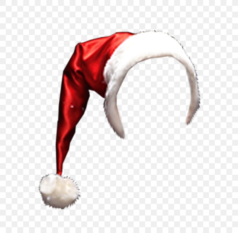 Bonnet Christmas, PNG, 800x800px, Bonnet, Adobe Flash, Christmas, Christmas Ornament, Fictional Character Download Free