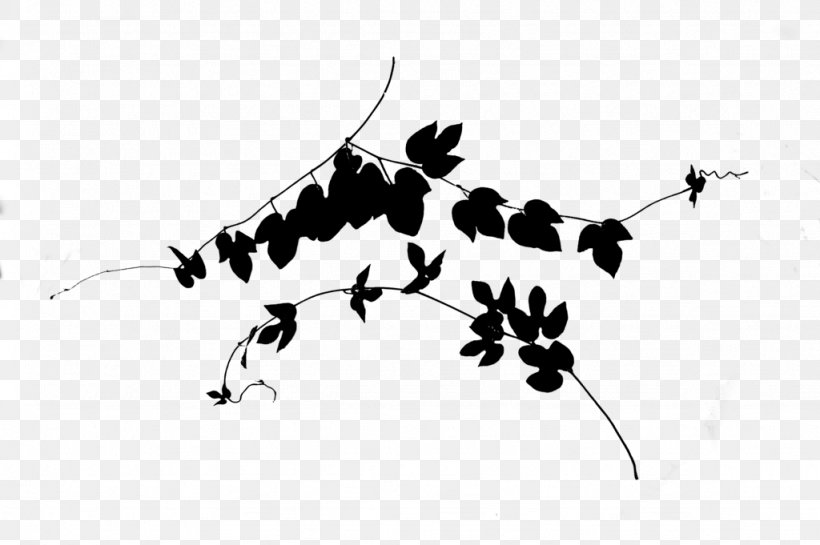 Butterfly M / 0d Insect Clip Art Plant Stem, PNG, 1024x681px, Butterfly, Blackandwhite, Branch, Insect, Leaf Download Free