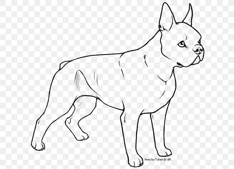 Dog Breed Puppy Boston Terrier Non-sporting Group Bull Terrier, PNG, 638x593px, Dog Breed, Art, Artwork, Black And White, Borzoi Download Free