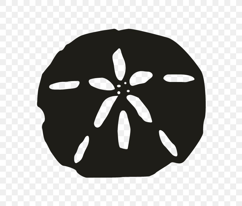 Sand Dollar WPRB Silhouette, PNG, 696x696px, Sand Dollar, Black And White, Bone, Drawing, Fm Broadcasting Download Free