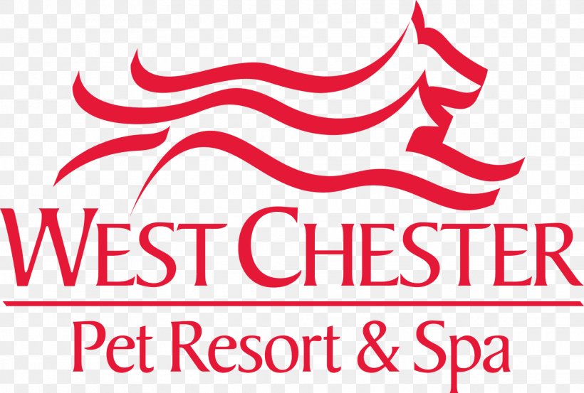 West Chester Pet Resort And Spa Dog, PNG, 1920x1295px, West Chester Pet Resort And Spa, Area, Beauty Parlour, Brand, Cat Download Free