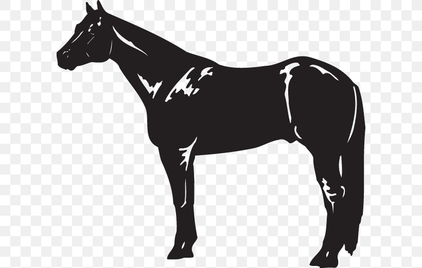 American Quarter Horse Black Stallion Clip Art, PNG, 600x522px, American Quarter Horse, Animal, Black, Black And White, Bridle Download Free