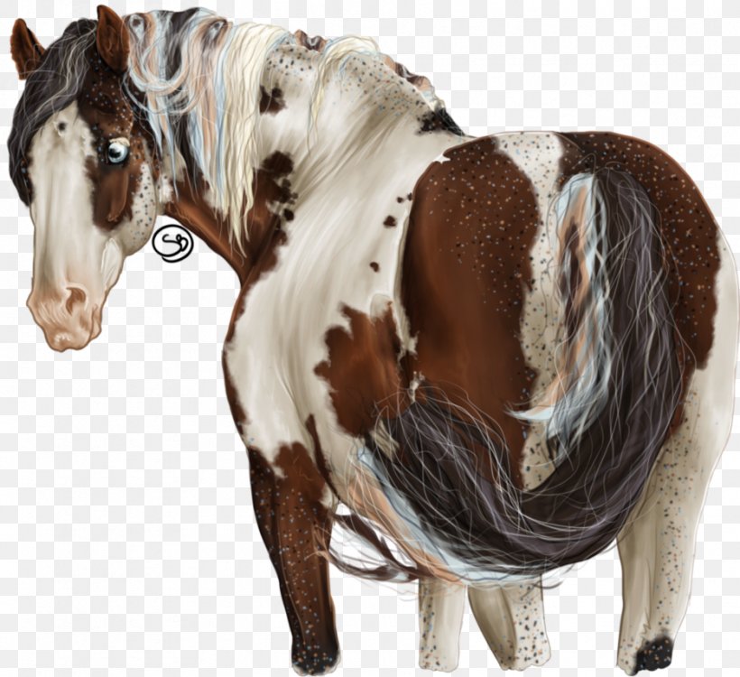 Mane Marwari Horse Mare Stallion Pony, PNG, 934x855px, Mane, Breed, Genetics, Halter, Horse Download Free