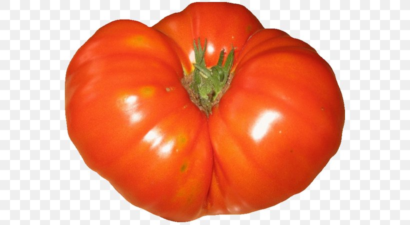 Plum Tomato Bell Pepper Food Vegetarian Cuisine Bush Tomato, PNG, 600x450px, Plum Tomato, Bell Pepper, Bell Peppers And Chili Peppers, Bush Tomato, Chili Pepper Download Free