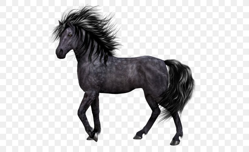 Pony Mane Mustang Stallion, PNG, 500x500px, Pony, Black And White, Bridle, Canvas, Horse Download Free