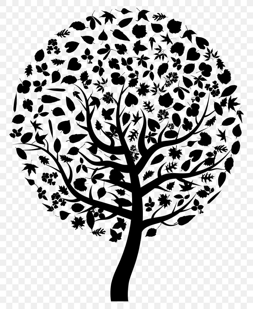 Tree Silhouette Clip Art, PNG, 800x1000px, Tree, Black And White, Branch, Drawing, Flora Download Free