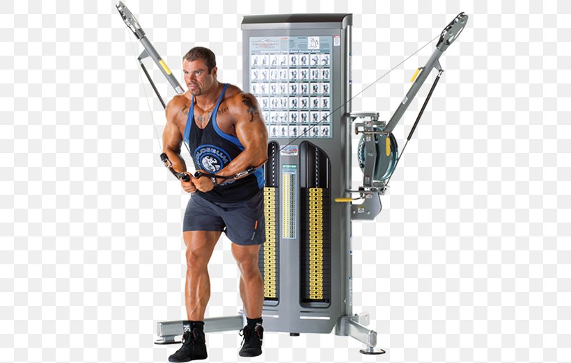 Weightlifting Machine Sport Fitness Centre Physical Fitness, PNG, 563x522px, Weightlifting Machine, Arm, Bank, Commodity, Company Download Free
