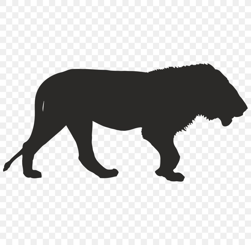 Africa Lion Vector Graphics Clip Art Rhinoceros, PNG, 800x800px, Africa, Animal, Big Cats, Black, Black And White Download Free