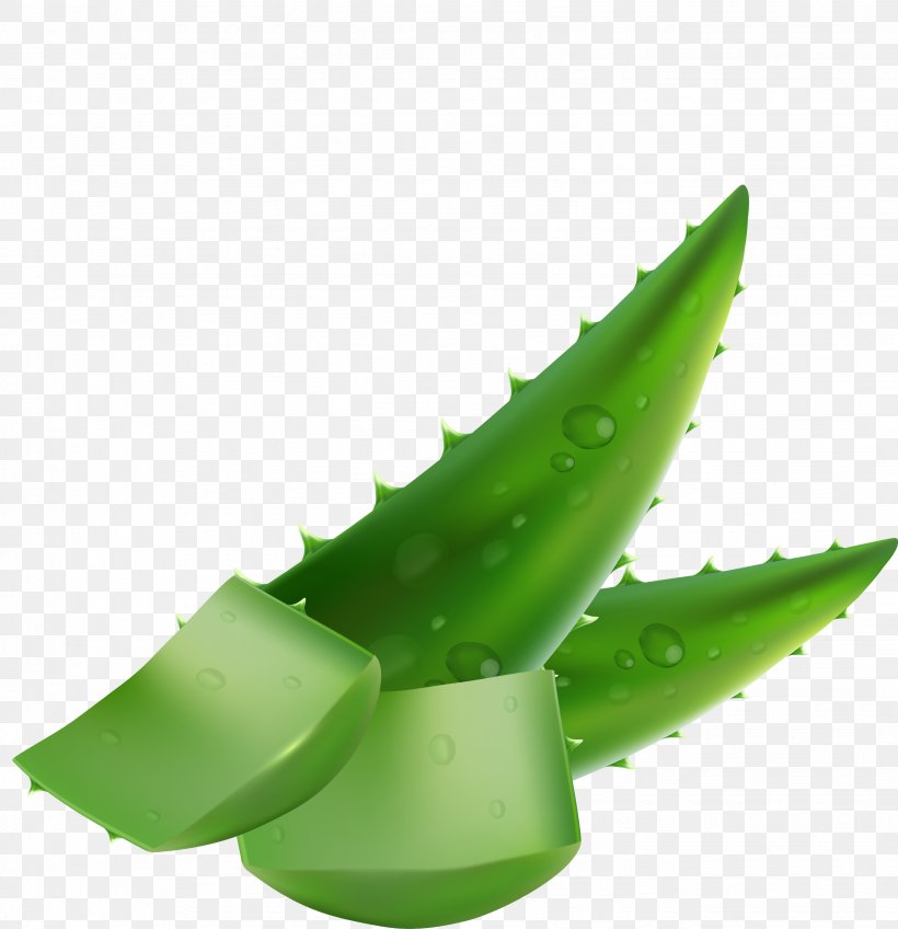 Aloe Vera Liquid Plant Leaf, PNG, 2674x2766px, Aloe Vera, Aloe, Chemical Element, Drop, Essential Oil Download Free