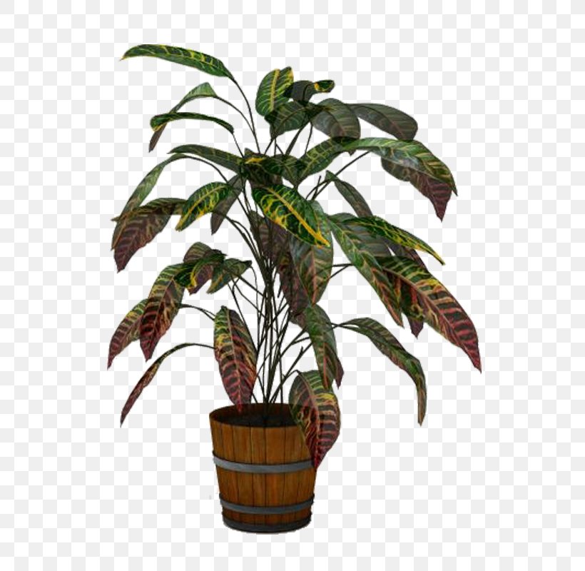 Arecaceae Flowerpot Houseplant Leaf Plant Stem, PNG, 600x800px, Arecaceae, Arecales, Flowerpot, Houseplant, Leaf Download Free