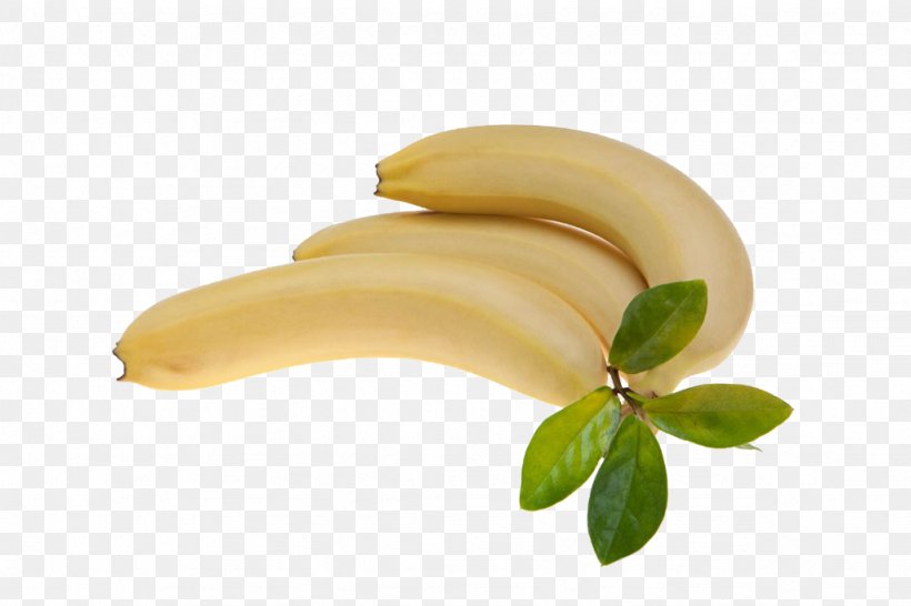 Banana Juice Fruit, PNG, 1024x682px, Banana, Auglis, Banana Chip, Banana Family, Bockwurst Download Free