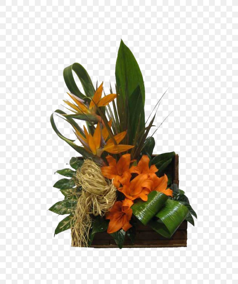 Floral Design Cut Flowers Laceleaf Lilium, PNG, 780x975px, Floral Design, Arrangement, Auglis, Bark, Basket Download Free