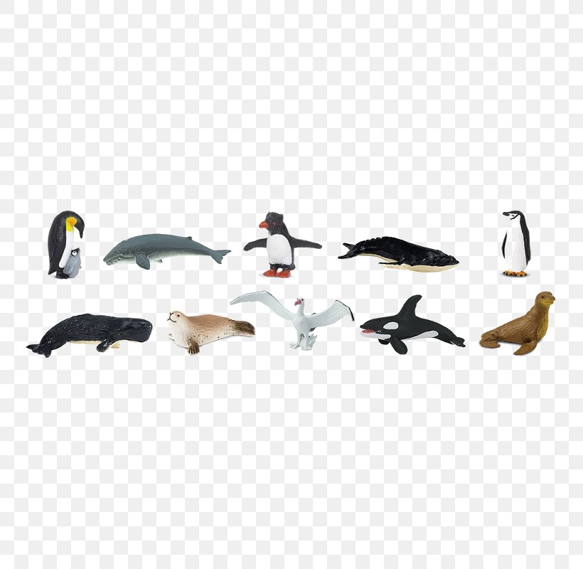 Antarctica Penguin Safari Ltd Bird, PNG, 800x800px, Antarctica, Animal, Animal Figure, Animal Migration, Antarctic Download Free
