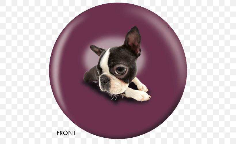 Boston Terrier Toy Bulldog Puppy Dog Breed, PNG, 500x500px, Boston Terrier, Bowling, Bowling Balls, Breed, Bulldog Download Free