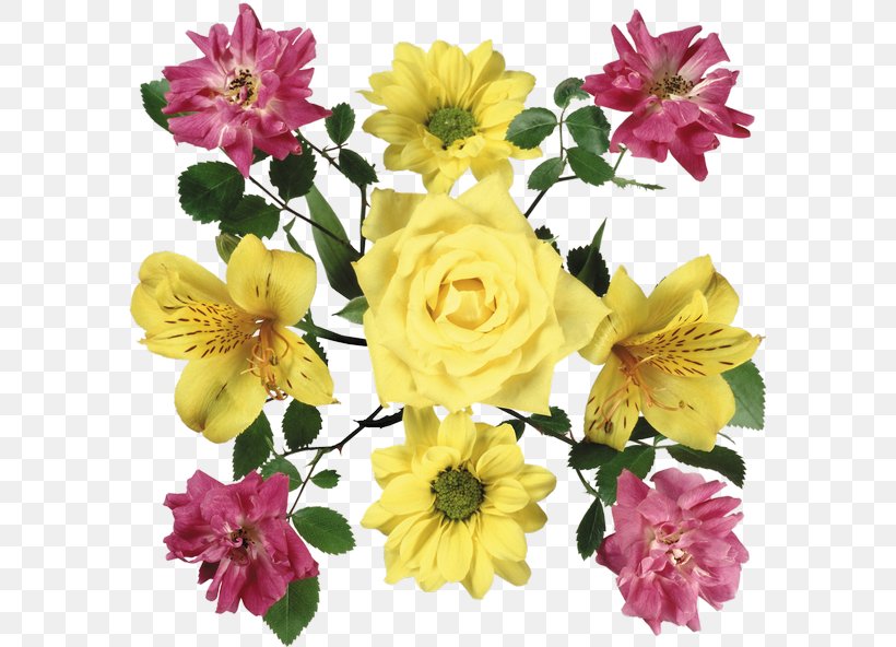 Centifolia Roses Cut Flowers Floral Design Petal, PNG, 587x592px, Centifolia Roses, Annual Plant, Artificial Flower, Chrysanths, Cut Flowers Download Free