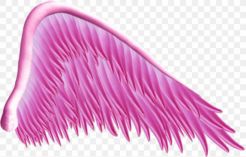 Drawing Clip Art, PNG, 900x573px, Wing, Angel Wing, Drawing, Magenta, Painting Download Free